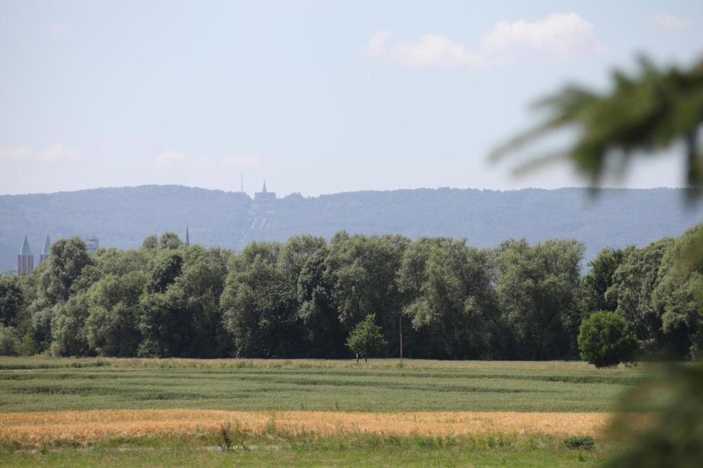 Ferienwohnung Art City-Studio Kassel 6 Und Art City-Studio 9 외부 사진